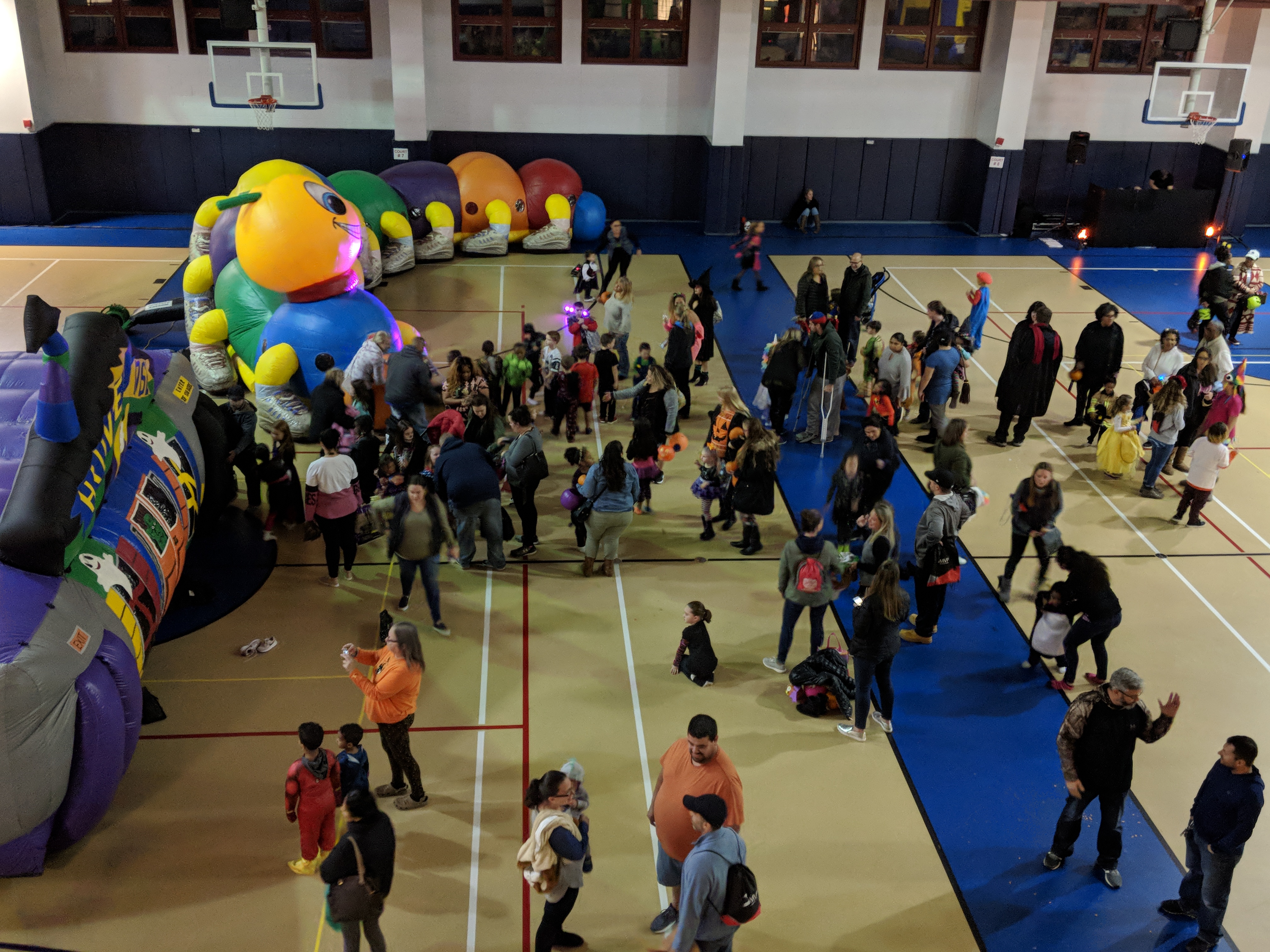 Uploaded Image: /uploads/images/hallo 10 16.jpg